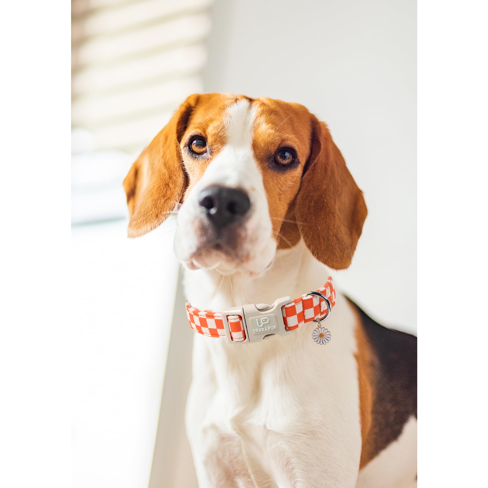 UP URARA PUP Gingham Dog Collar - Adjustable Orange Checkered Cotton Collar with Daisy Charm
