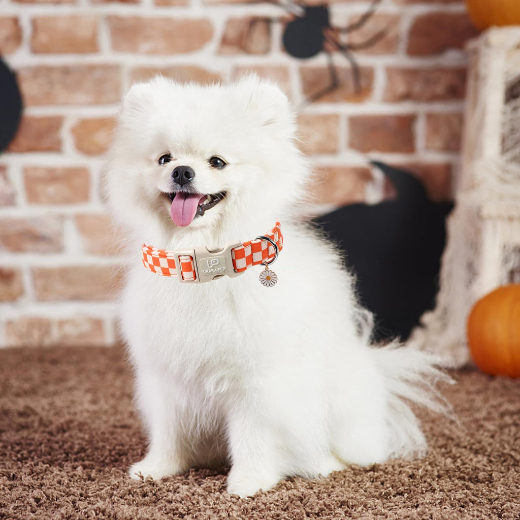 UP URARA PUP Gingham Dog Collar - Adjustable Orange Checkered Cotton Collar with Daisy Charm