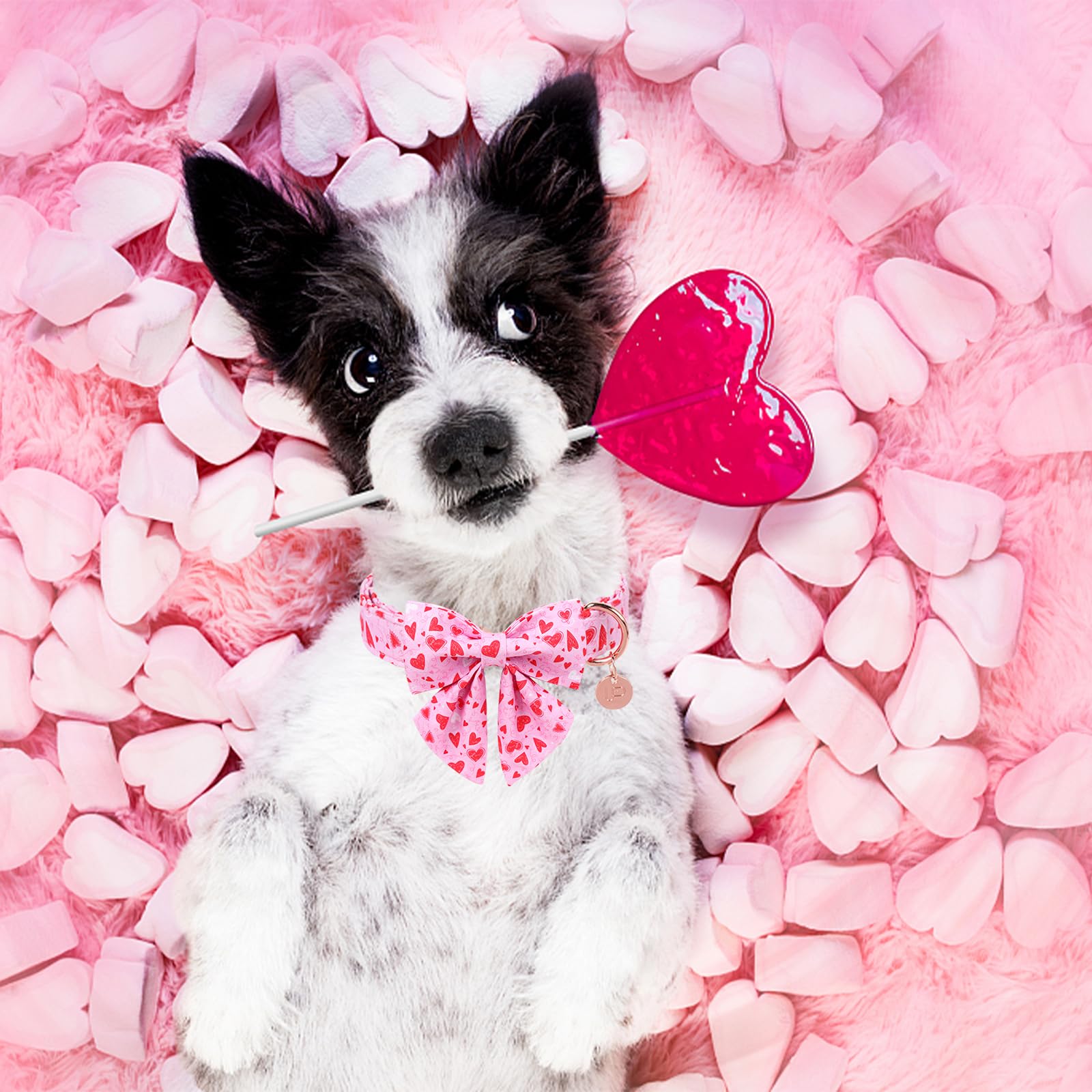 UP URARA PUP Valentine's Dog Collar – Pink Heart Bowtie, Adjustable Cotton, Metal Buckle, Size M for Dogs & Cats