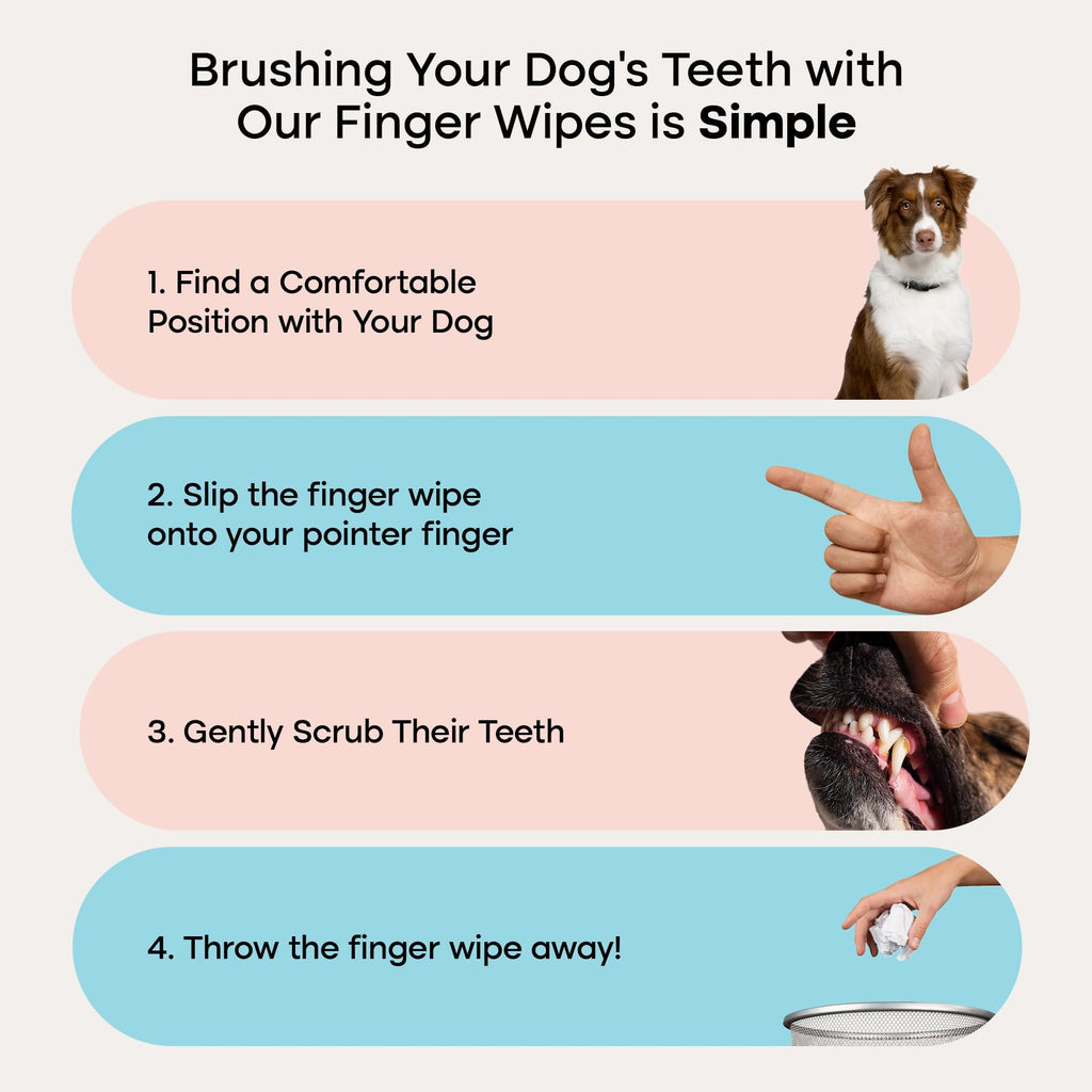 Uproot Clean Pet Dental Finger Wipes (50 Count) – Easy Cat and Dog Teeth Cleaning for Plaque, Tartar, and Bad Breath