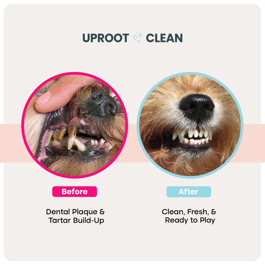 Uproot Clean Pet Dental Finger Wipes (50 Count) – Easy Cat and Dog Teeth Cleaning for Plaque, Tartar, and Bad Breath