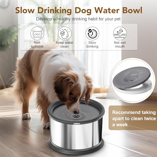 UPSKY 2.5L No Spill Dog Water Bowl - Stainless Steel Slow Feeder with Anti-Slip Mat for Large Dogs, Grey