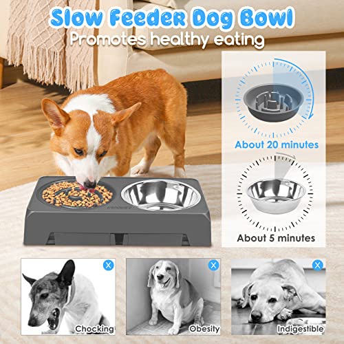 URPOWER Adjustable Raised Dog Bowls – 4 Heights with Stainless Steel Slow Feeder & Non-Slip Stand for Small to Large Dogs