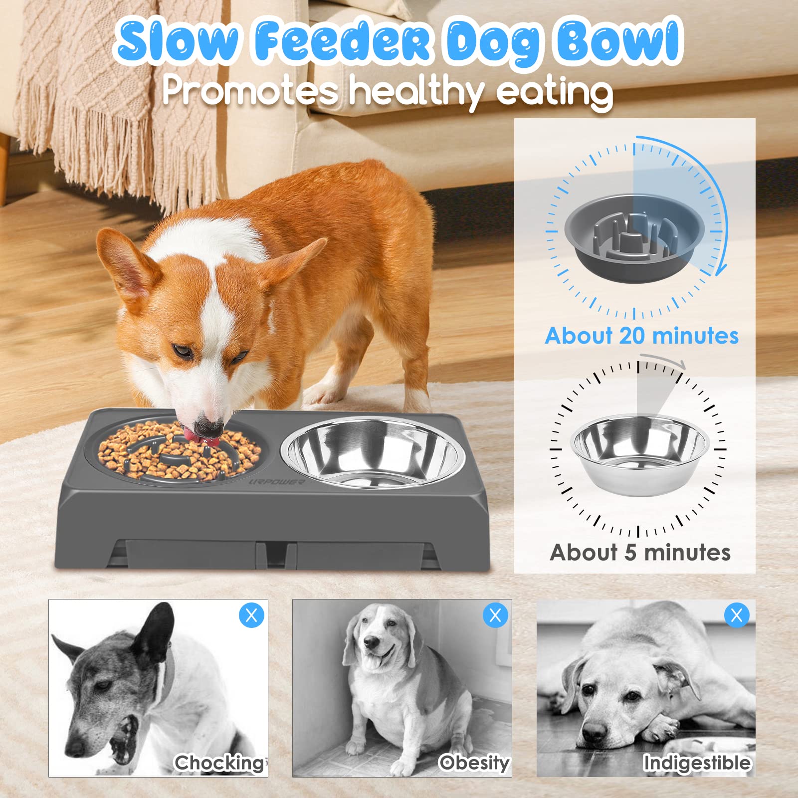 URPOWER Adjustable Raised Dog Bowls – 4 Heights with Stainless Steel Slow Feeder & Non-Slip Stand for Small to Large Dogs
