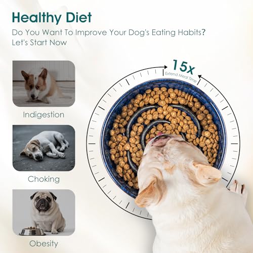 vancasso Ceramic Slow Feeder Dog Bowl - 0.6 Cup for Small Breeds | Blue | Anti-Slip
