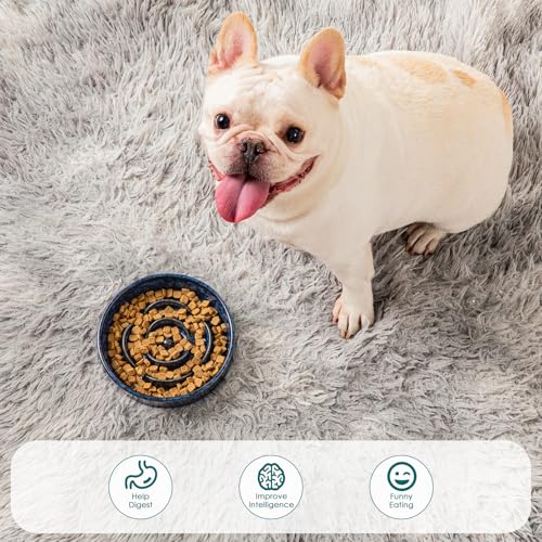 vancasso Ceramic Slow Feeder Dog Bowl - 0.6 Cup for Small Breeds | Blue | Anti-Slip