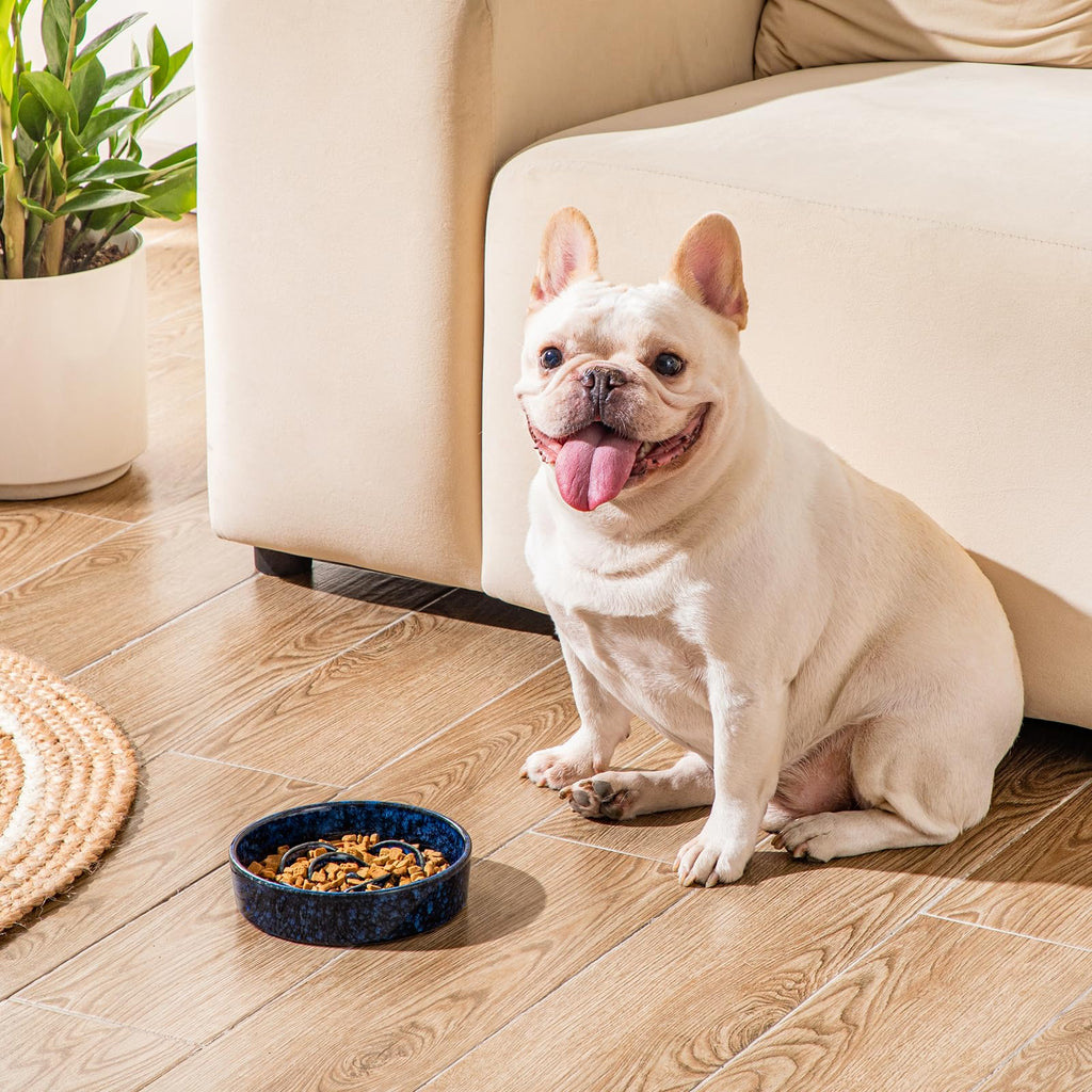 vancasso Ceramic Slow Feeder Dog Bowl - 0.6 Cup for Small Breeds | Blue | Anti-Slip