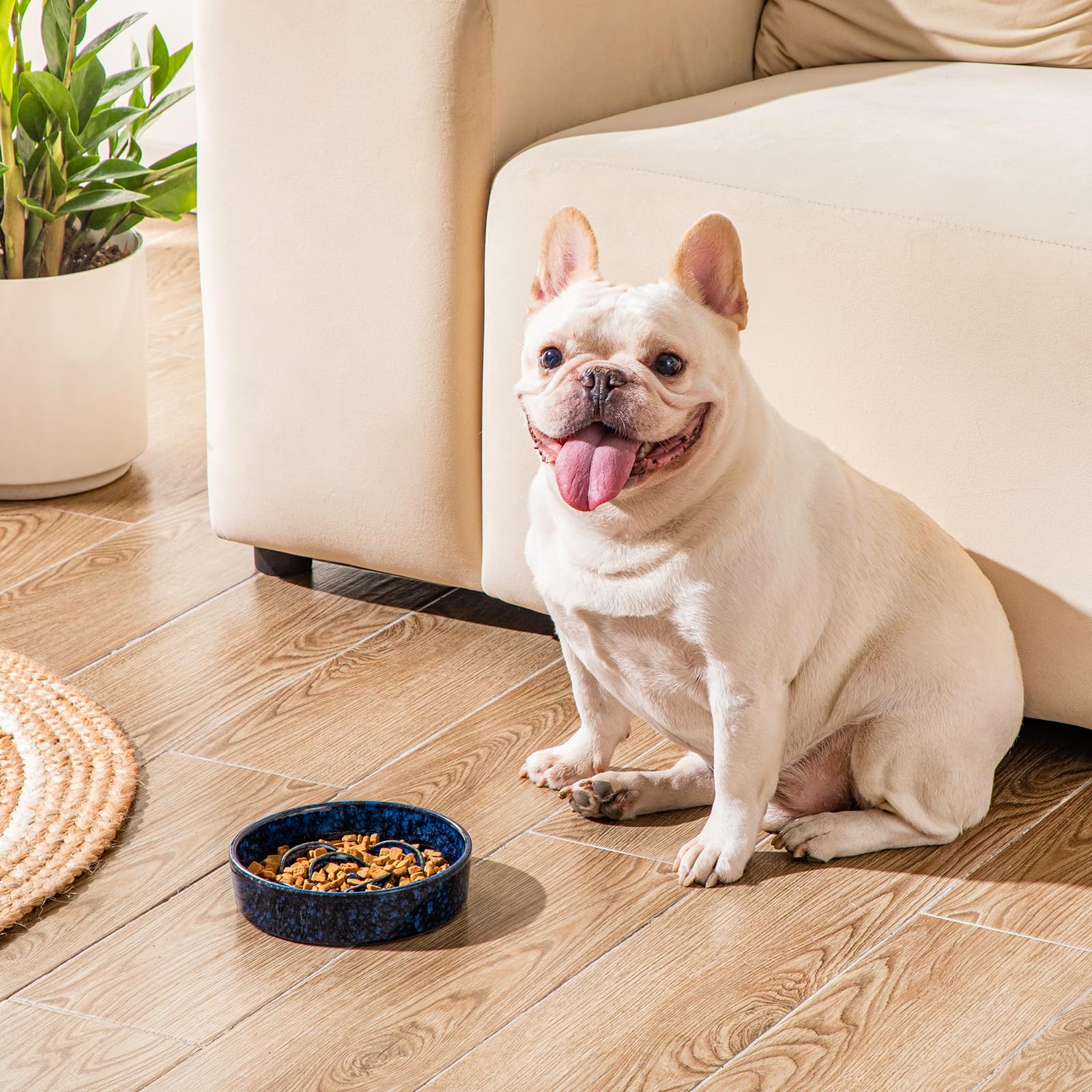 vancasso Ceramic Slow Feeder Dog Bowl - 0.6 Cup for Small Breeds | Blue | Anti-Slip