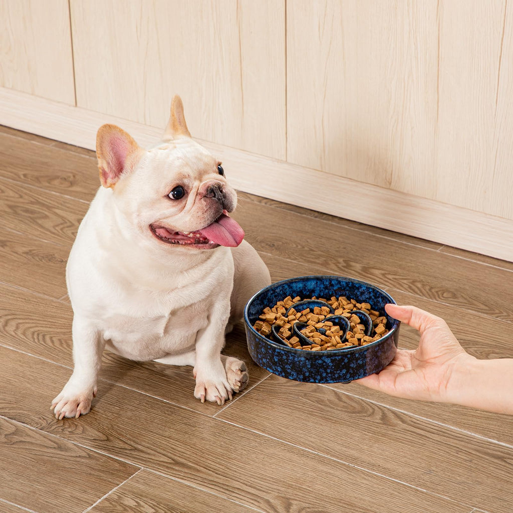 vancasso Ceramic Slow Feeder Dog Bowl - 0.6 Cup for Small Breeds | Blue | Anti-Slip
