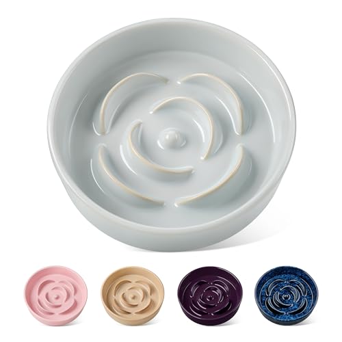 vancasso Ceramic Slow Feeder Dog Bowl – 0.6 Cup Maze Puzzle Bowl for Small Breeds, Grayish Cyan