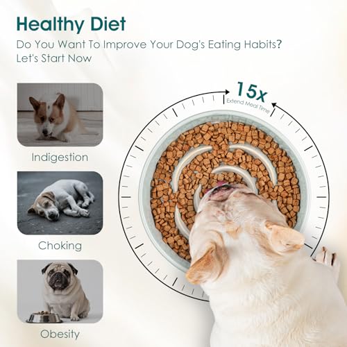 vancasso Ceramic Slow Feeder Dog Bowl – 0.6 Cup Maze Puzzle Bowl for Small Breeds, Grayish Cyan