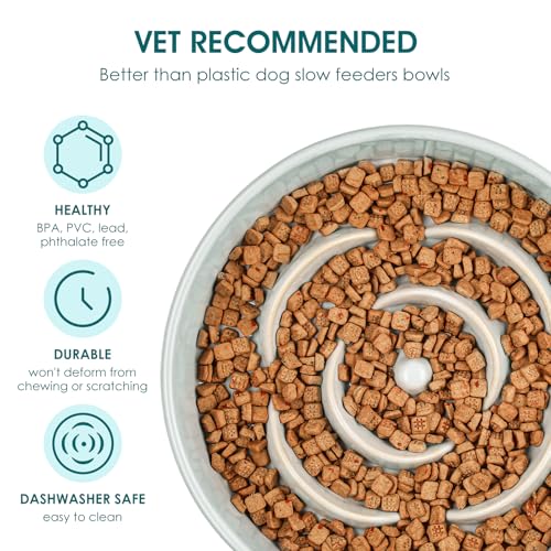 vancasso Ceramic Slow Feeder Dog Bowl – 0.6 Cup Maze Puzzle Bowl for Small Breeds, Grayish Cyan