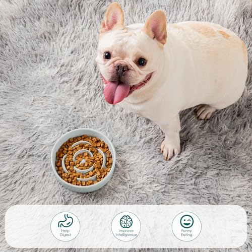 vancasso Ceramic Slow Feeder Dog Bowl – 0.6 Cup Maze Puzzle Bowl for Small Breeds, Grayish Cyan