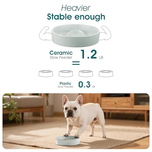 vancasso Ceramic Slow Feeder Dog Bowl – 0.6 Cup Maze Puzzle Bowl for Small Breeds, Grayish Cyan