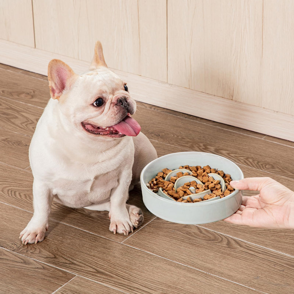 vancasso Ceramic Slow Feeder Dog Bowl – 0.6 Cup Maze Puzzle Bowl for Small Breeds, Grayish Cyan