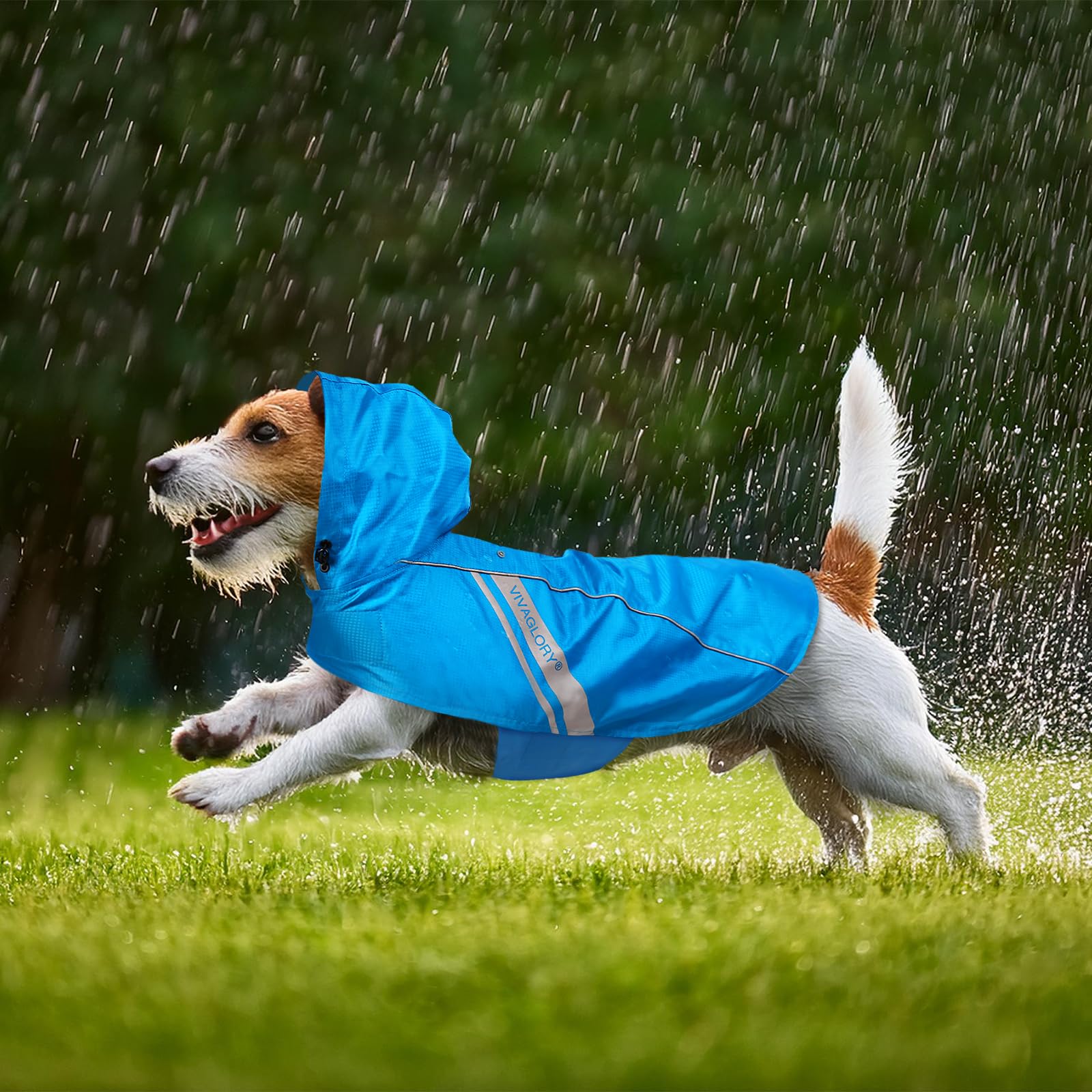 VIVAGLORY Wetoff Dog Raincoat - Lightweight Waterproof Rain Jacket for Small Dogs with Reflective Trim and Harness Hole, XS Blue