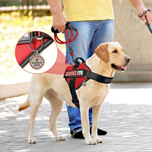 VOOPET Service Dog Vest Harness Kit – No Pull, Reflective, with Patches & Leash for Small to Large Dogs