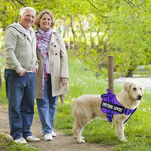 VOOPET Small Purple Service Dog Harness – No-Pull, Reflective, Adjustable with 4 Removable Patches