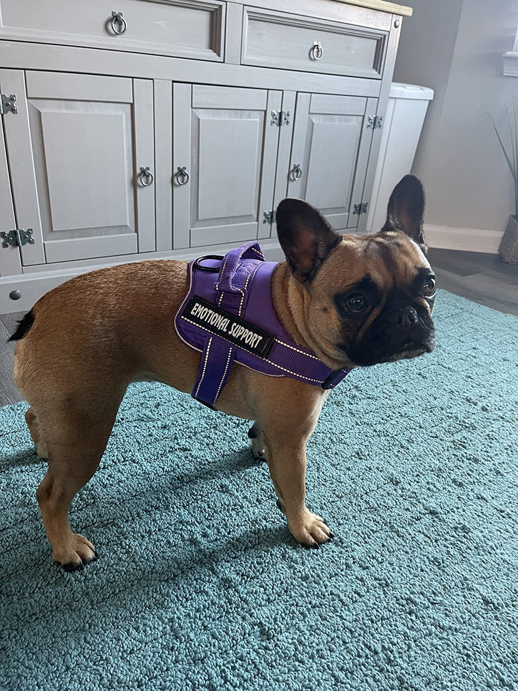 VOOPET Small Purple Service Dog Harness – No-Pull, Reflective, Adjustable with 4 Removable Patches