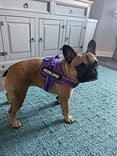 VOOPET Small Purple Service Dog Harness – No-Pull, Reflective, Adjustable with 4 Removable Patches