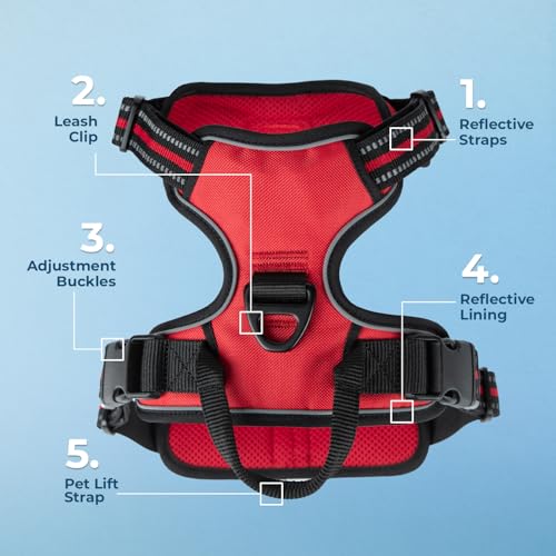 Voyager Dog Harness XS – No-Pull, Reflective, Dual Leash Attachment for Dogs 13-16" Chest – Red Lattice Nylon