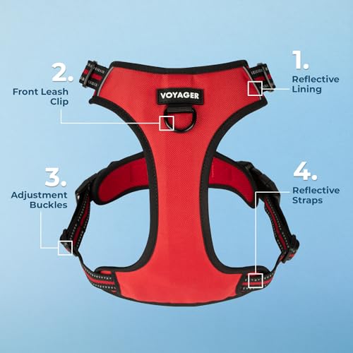 Voyager Dog Harness XS – No-Pull, Reflective, Dual Leash Attachment for Dogs 13-16" Chest – Red Lattice Nylon