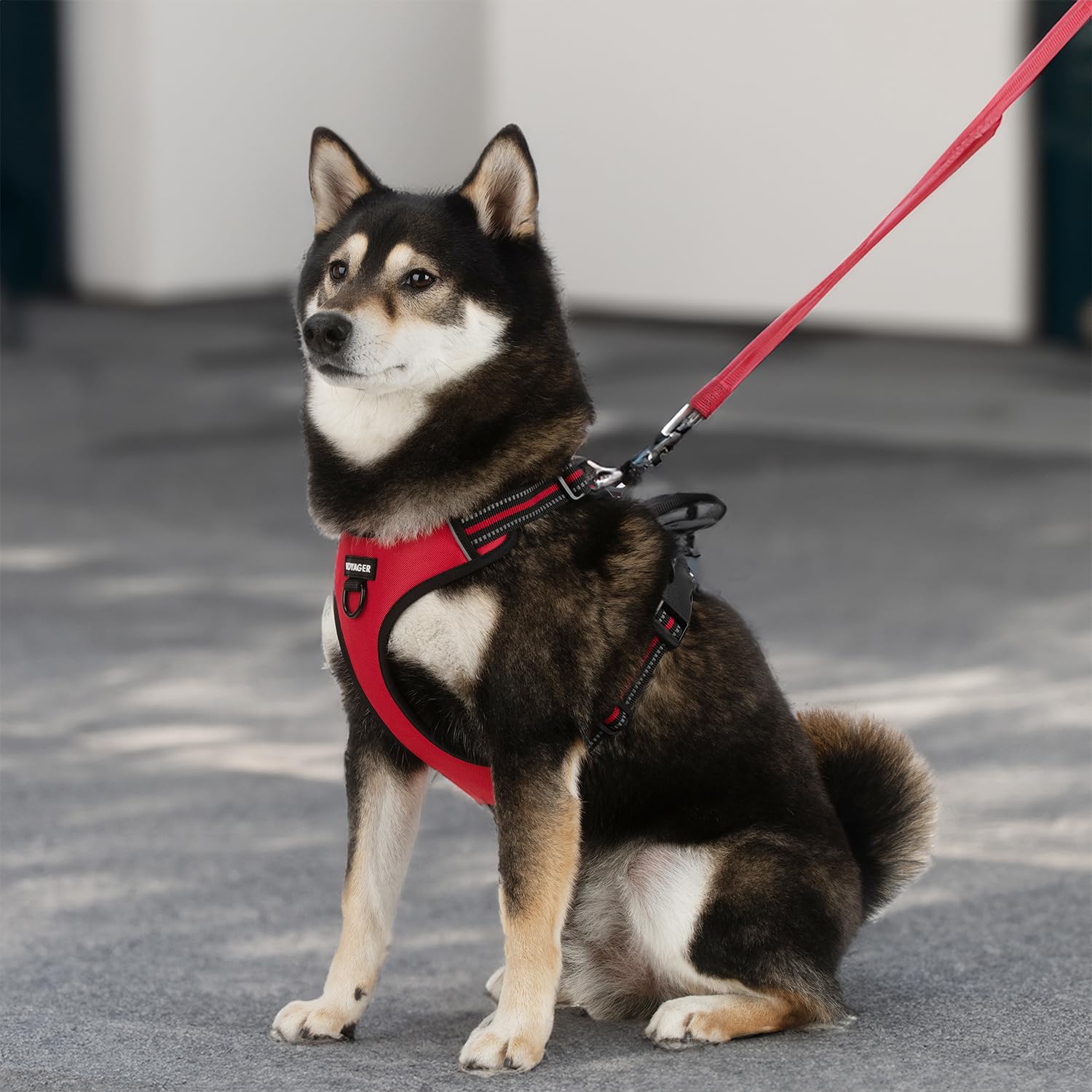 Voyager Dog Harness XS – No-Pull, Reflective, Dual Leash Attachment for Dogs 13-16" Chest – Red Lattice Nylon