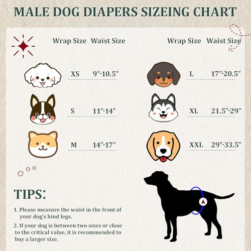VUNCESSIN Reusable Male Dog Diapers (Medium, Pack of 5) - Washable Belly Bands for Incontinence & House Training
