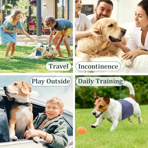 VUNCESSIN Reusable Male Dog Diapers (Medium, Pack of 5) - Washable Belly Bands for Incontinence & House Training
