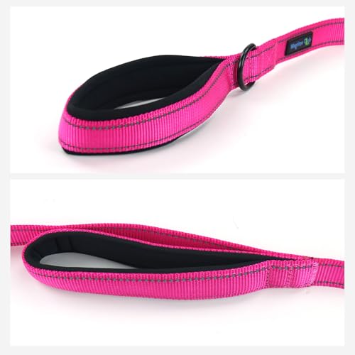 Wagtime Club Double Handle Dog Leash - 6ft Heavy Duty with Padded Traffic Handles for Extra Control - Reflective Lively Pink