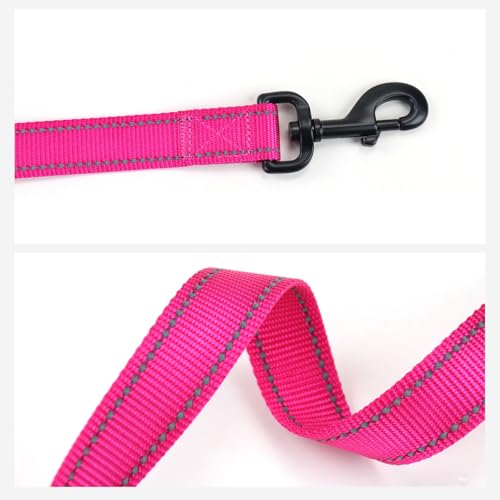 Wagtime Club Double Handle Dog Leash - 6ft Heavy Duty with Padded Traffic Handles for Extra Control - Reflective Lively Pink