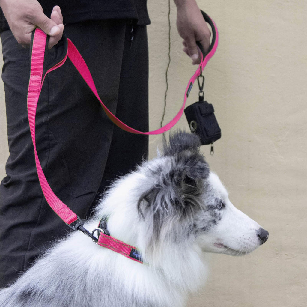 Wagtime Club Double Handle Dog Leash - 6ft Heavy Duty with Padded Traffic Handles for Extra Control - Reflective Lively Pink