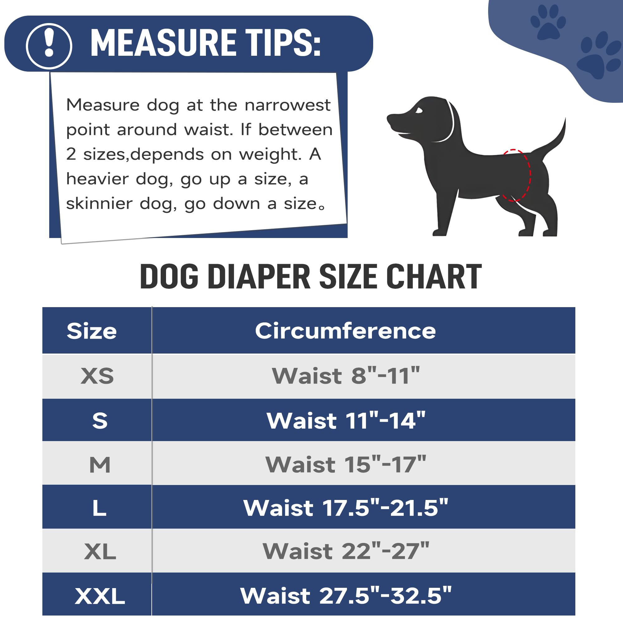 Washable Reusable Male Dog Diapers – High Absorbency Belly Bands for Dogs (5 Pack, Medium, Solid Colors)