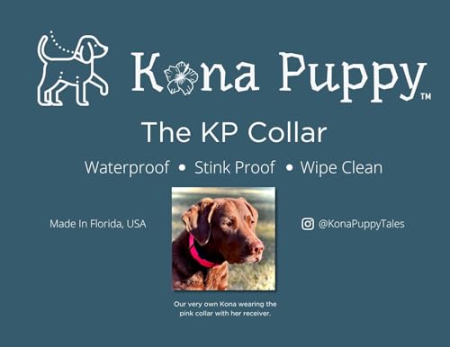 Waterproof Biothane E-Collar Replacement Strap – 3/4" Wide Blue Bungee Collar for Dogtra, Educator, Garmin – Kona Puppy