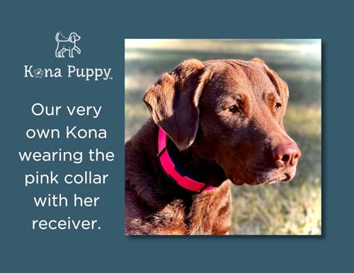 Waterproof Biothane E-Collar Replacement Strap – 3/4" Wide Blue Bungee Collar for Dogtra, Educator, Garmin – Kona Puppy