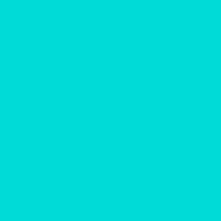 vimg::2