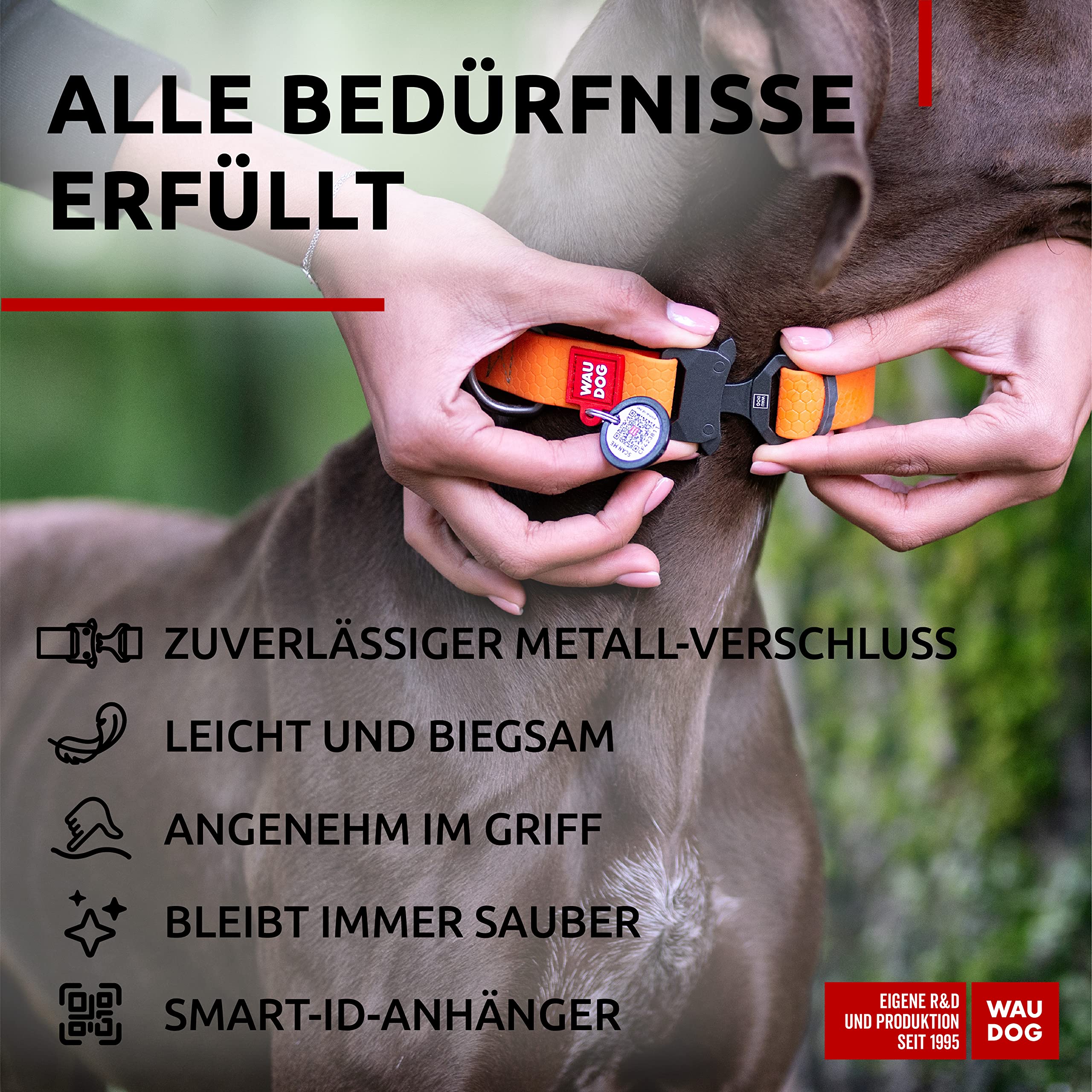 WAUDOG Waterproof Dog Collar with QR Tag, Adjustable for All Sizes, Bright Orange
