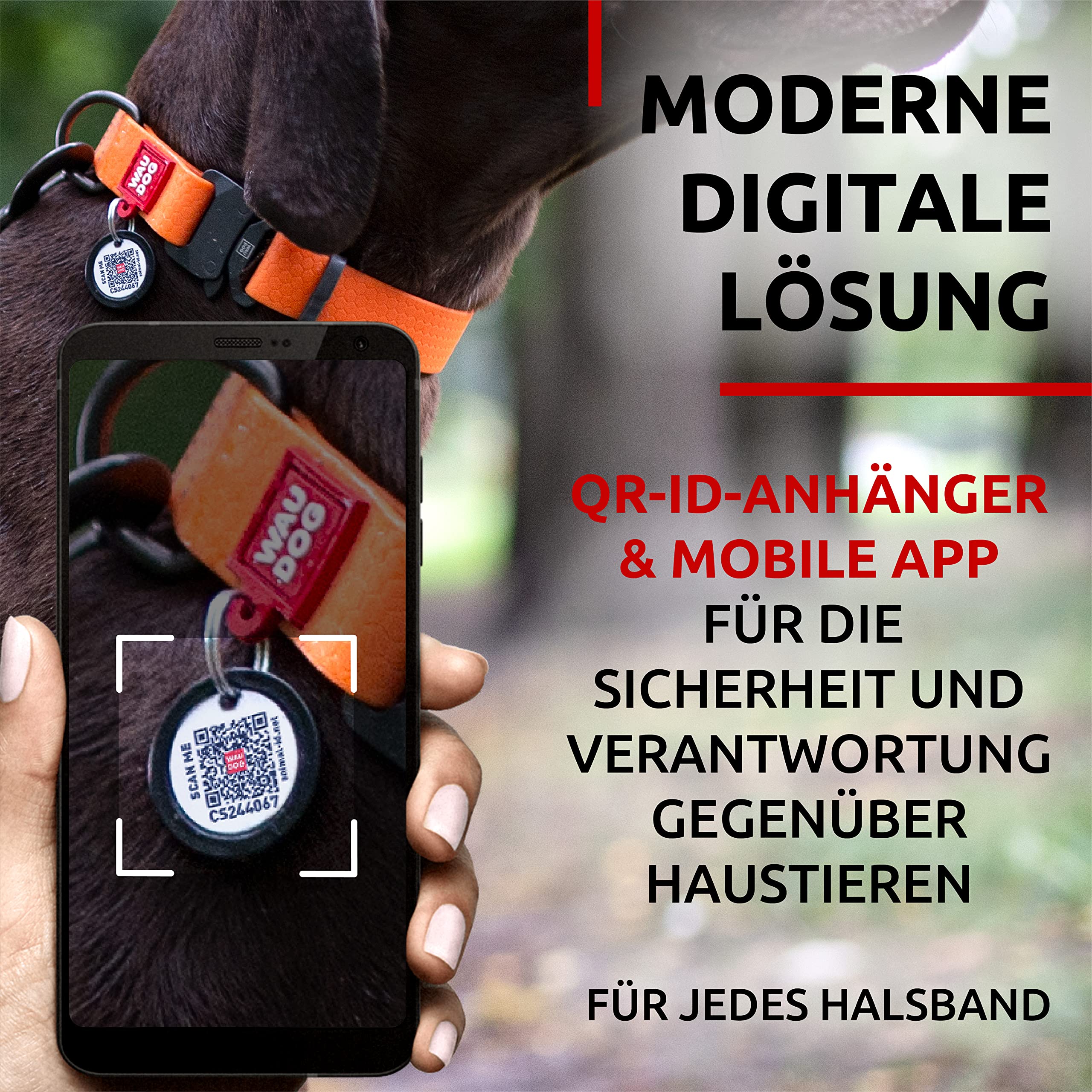 WAUDOG Waterproof Dog Collar with QR Tag, Adjustable for All Sizes, Bright Orange