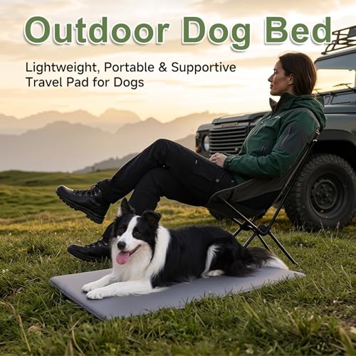 WAYIMPRESS Reversible Waterproof Outdoor Dog Crate Pad 35x22 Inch - Dark Gray, High-Density Foam, Wipeable Kennel Mat for Medium Large Dogs