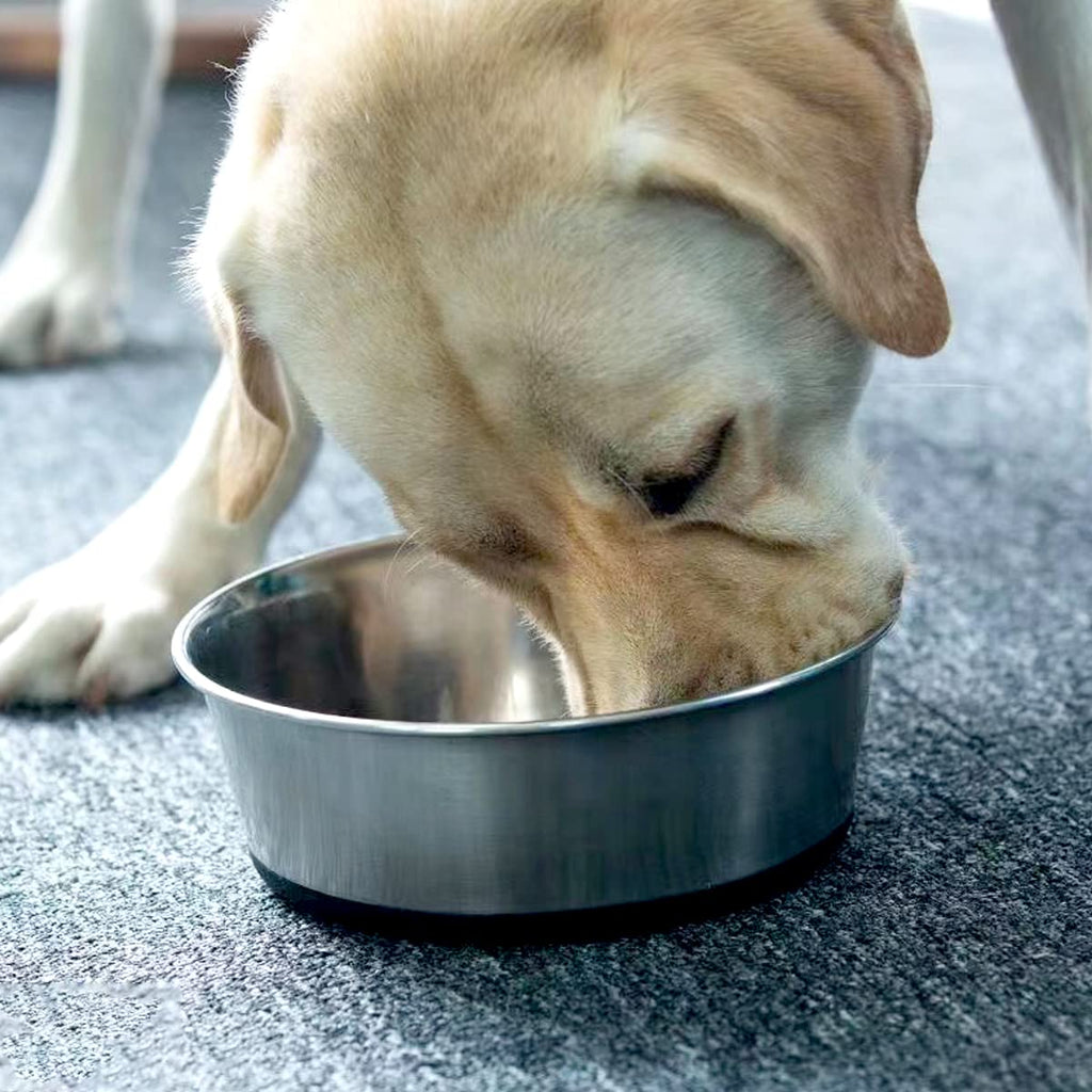 WEDAWN Stainless Steel Pet Bowls 2-Pack – 8-Cup Capacity, Non-Slip Rubber Bottom, Dishwasher Safe for Dogs and Cats