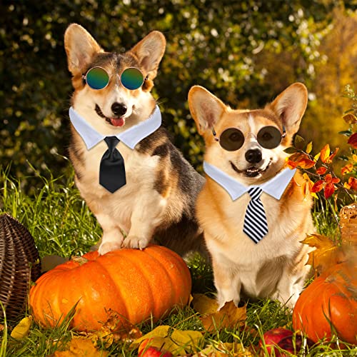 Weewooday 8-Piece Pet Costume Set – Tie Collars and Sunglasses for Small Dogs and Cats