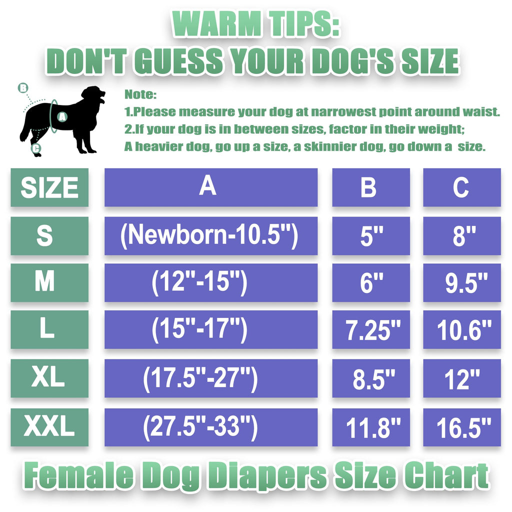 wegreeco Washable Dog Diapers for Females, Pack of 3, Large, Colourful - Reusable & Absorbent