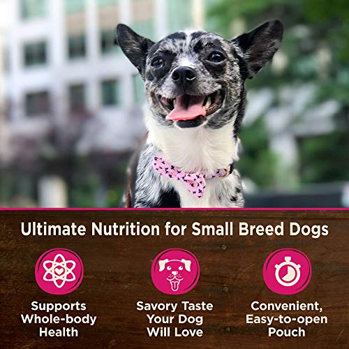 Wellness CORE Small Breed Mini Meals Pate Variety Pack – Grain-Free Wet Dog Food for Adult Dogs, 12 Pack