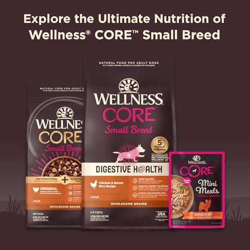 Wellness CORE Small Breed Mini Meals Pate Variety Pack – Grain-Free Wet Dog Food for Adult Dogs, 12 Pack