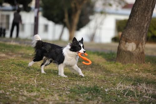West Paw Zogoflex Bumi Dog Toy – S-Shaped Tug and Fetch Toy for Interactive Play, Small 8-inch Tangerine
