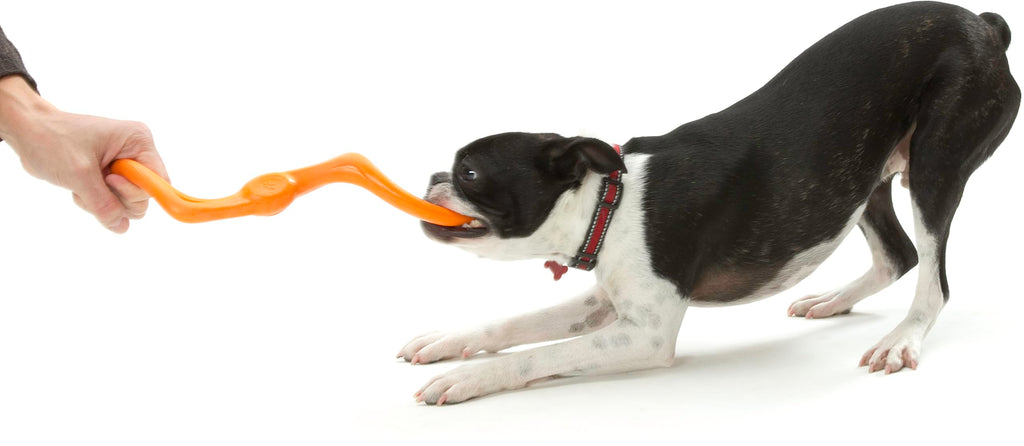 West Paw Zogoflex Bumi Dog Tug Toy – Large 9.5" Tangerine, S-Shaped, Latex-Free, Gentle Chewer