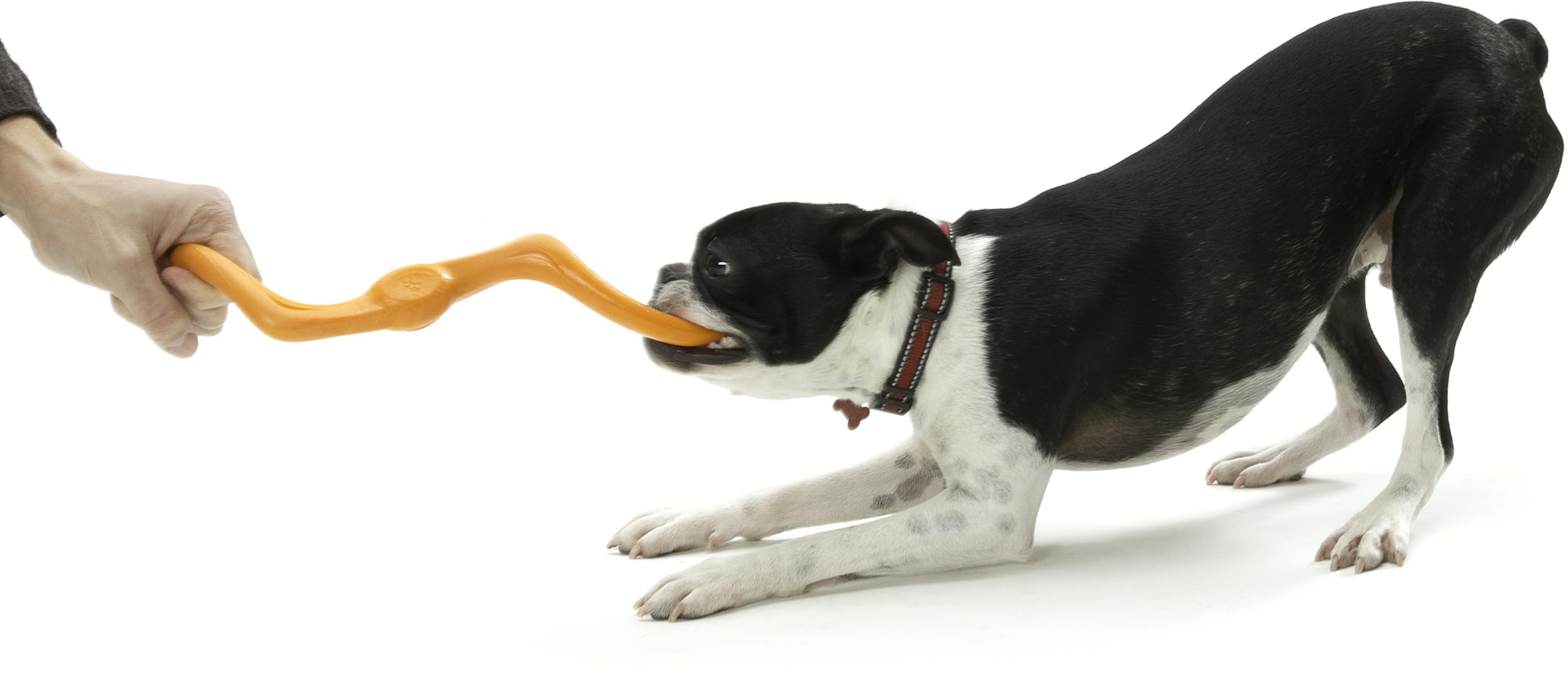 West Paw Zogoflex Bumi Dog Tug Toy – Large 9.5" Tangerine, S-Shaped, Latex-Free, Gentle Chewer