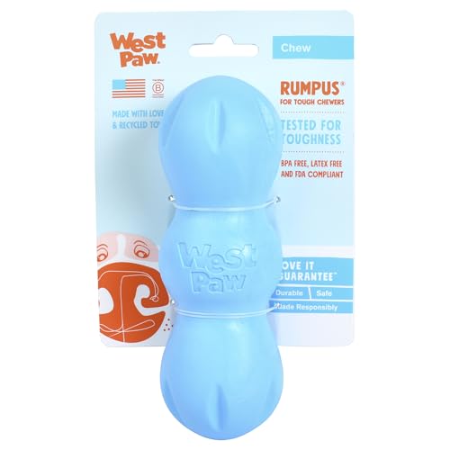 WEST PAW Zogoflex Rumpus Dog Chew Toy – Medium 6.25" Aqua Blue – Floatable, Durable Toy for Aggressive Chewers