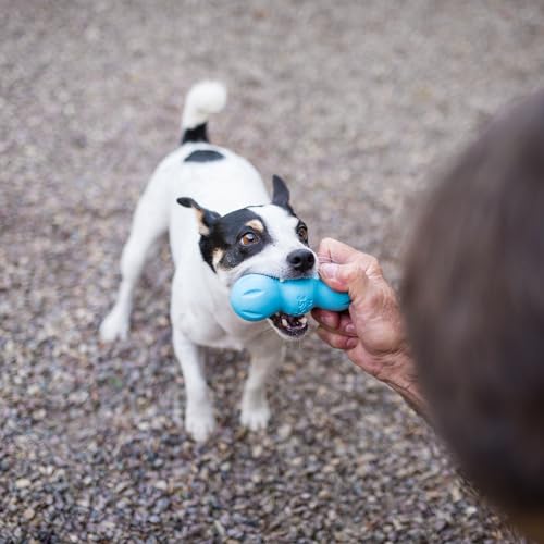 WEST PAW Zogoflex Rumpus Dog Chew Toy – Medium 6.25" Aqua Blue – Floatable, Durable Toy for Aggressive Chewers
