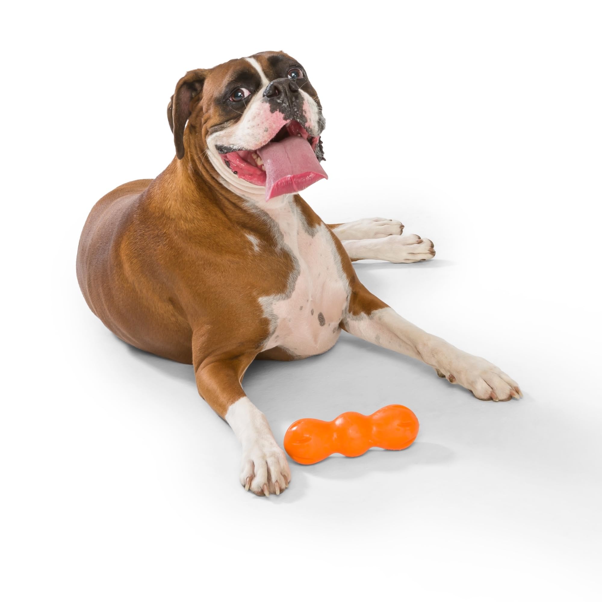 WEST PAW Zogoflex Rumpus Dog Chew Toy, Medium 6.25" Tangerine – Tough, Floatable & Recyclable